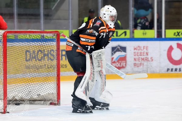 20251228 sel hec web 004