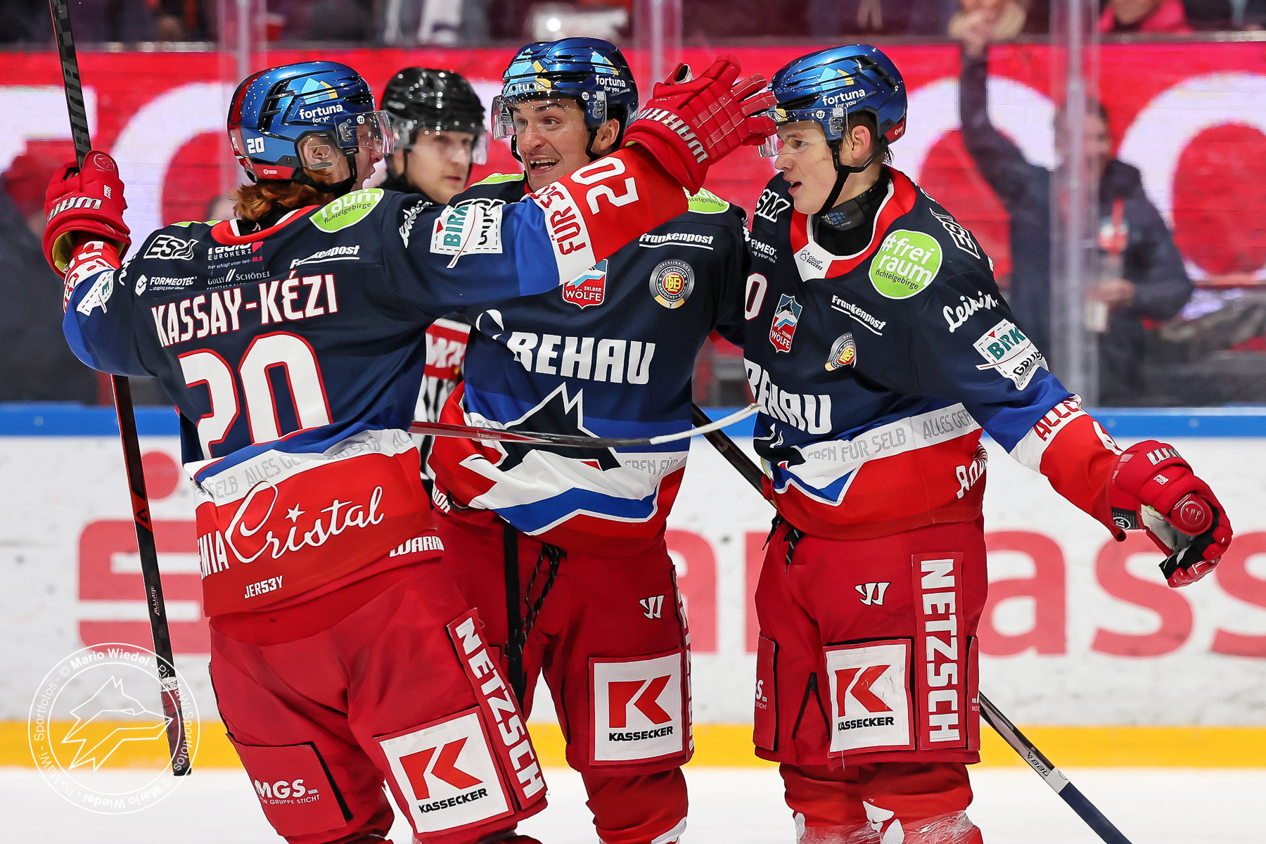 Selber Wölfe vs. Höchstadt Alligators am 28.12.2025