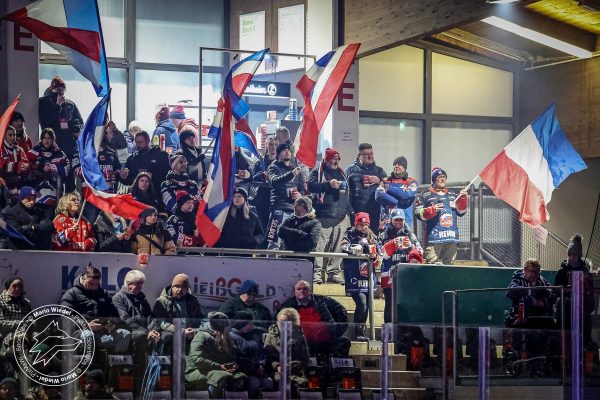 20260111 sel dsc web 002