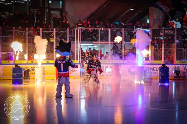 20260111 sel dsc web 004