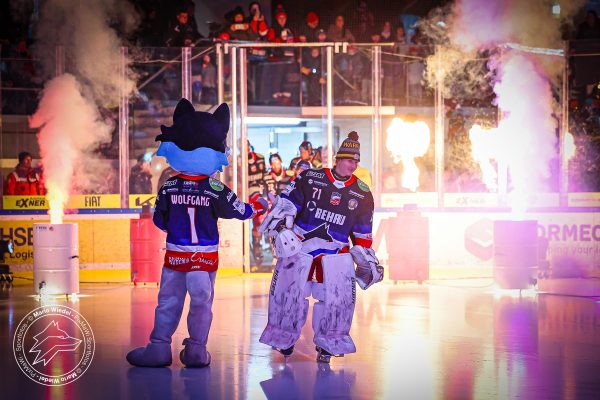 20260111 sel dsc web 006