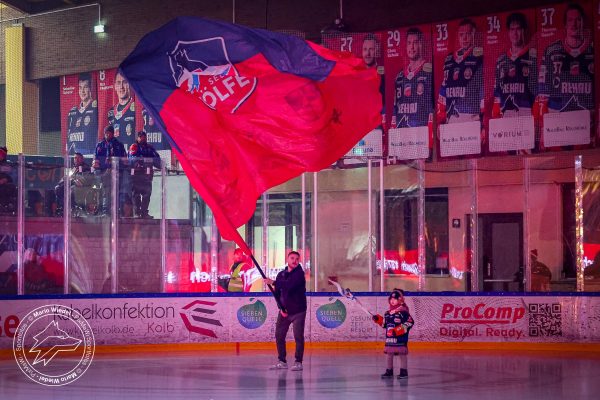 20260111 sel dsc web 007