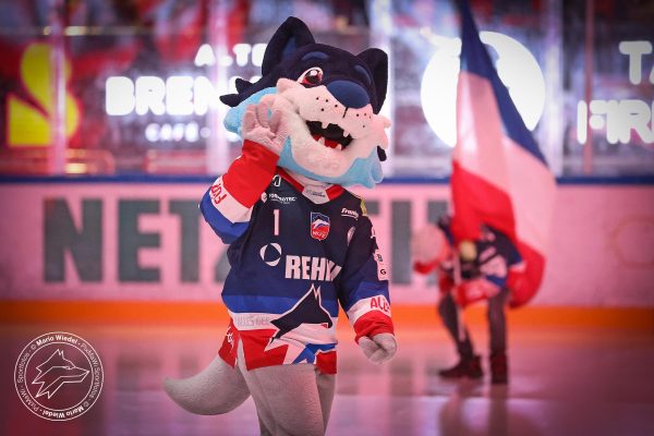 20260116 sel sec web 003