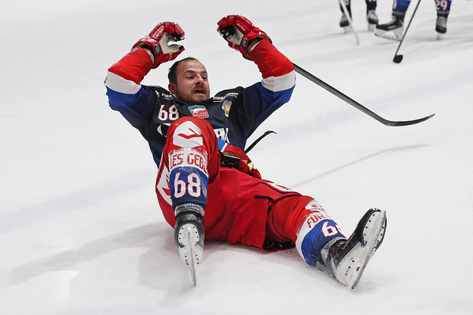 Selber Wölfe vs. Stuttgart Rebels am 17.01.2026