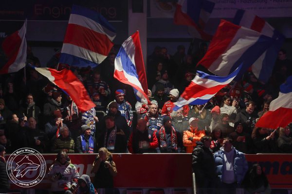 20260123 sel mem web 003