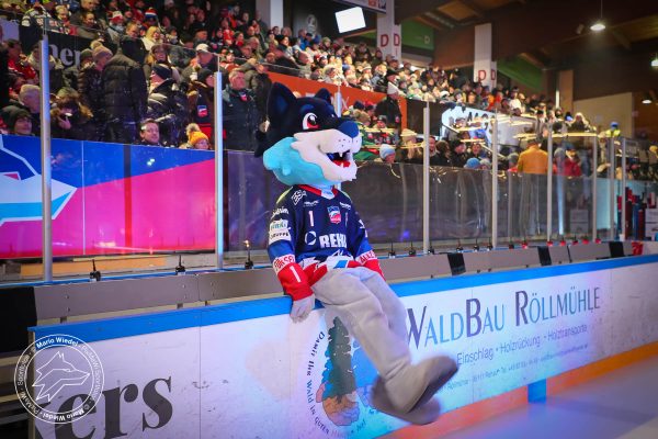 20260123 sel mem web 004