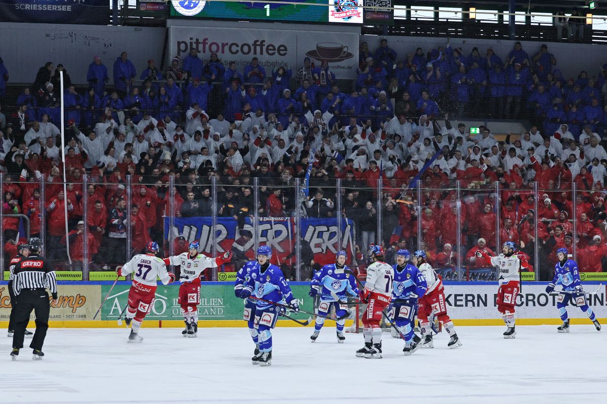 Wölfe-Party an der Zugspitze