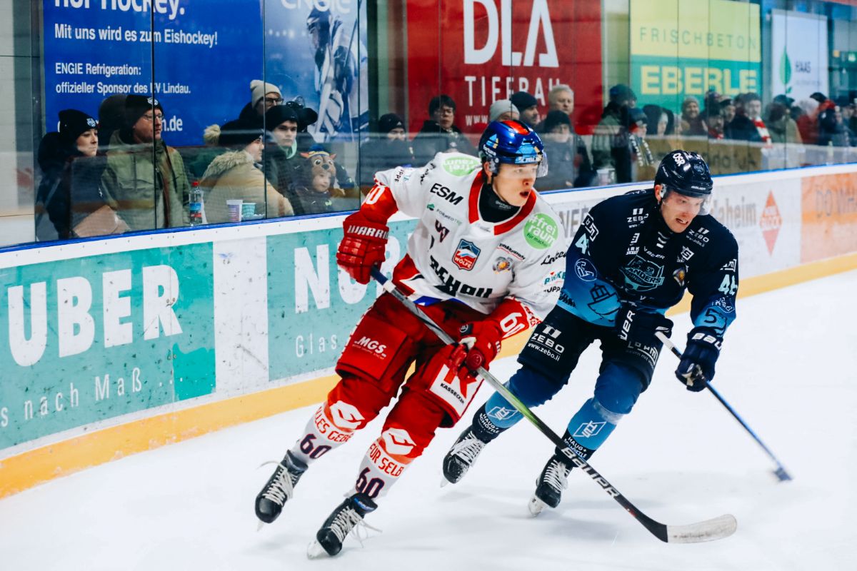 Wölfe entführen Punkt vom Bodensee