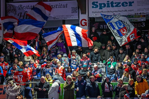 20260201 sel lin web 001