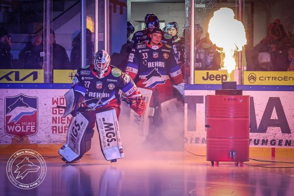 20260201 sel lin web 002