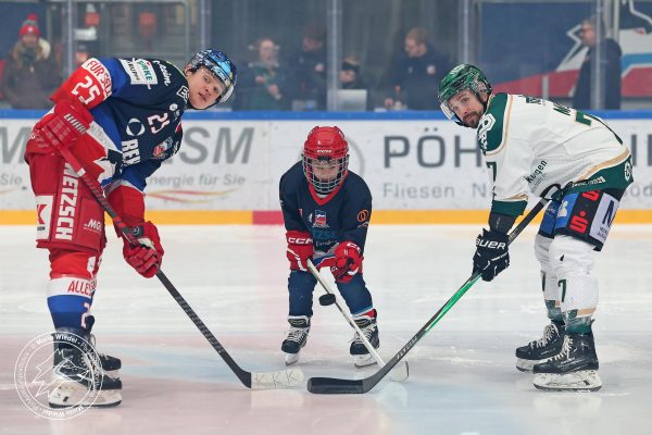 20260206 sel edg web 020