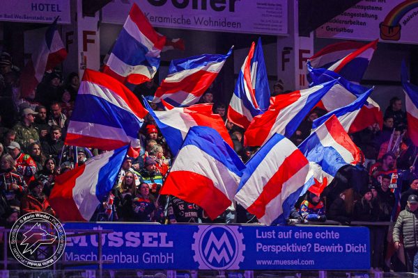 20260215 sel hnf web 001