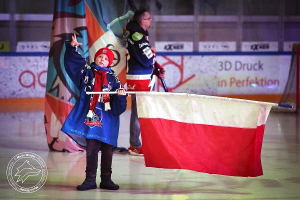 20260215 sel hnf web 002