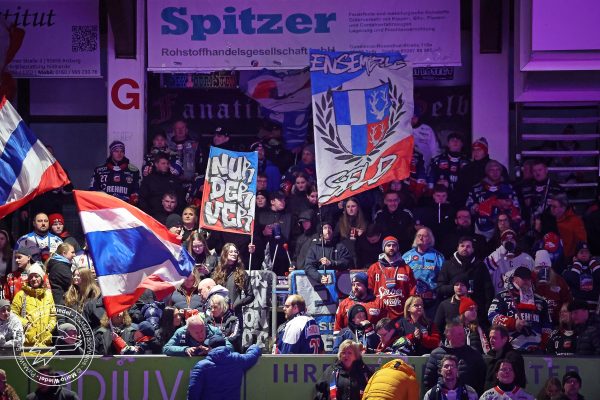 20260215 sel hnf web 003