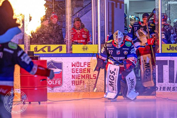 20260215 sel hnf web 004