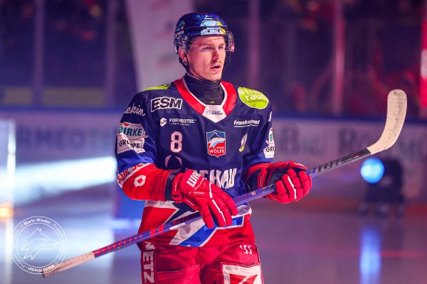 20260215 sel hnf web 009