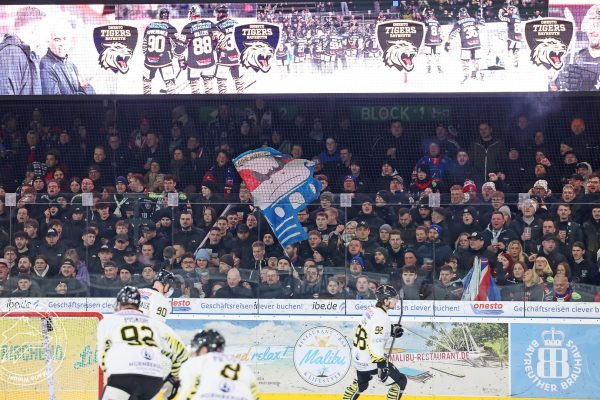 20260220 otb sel web 006