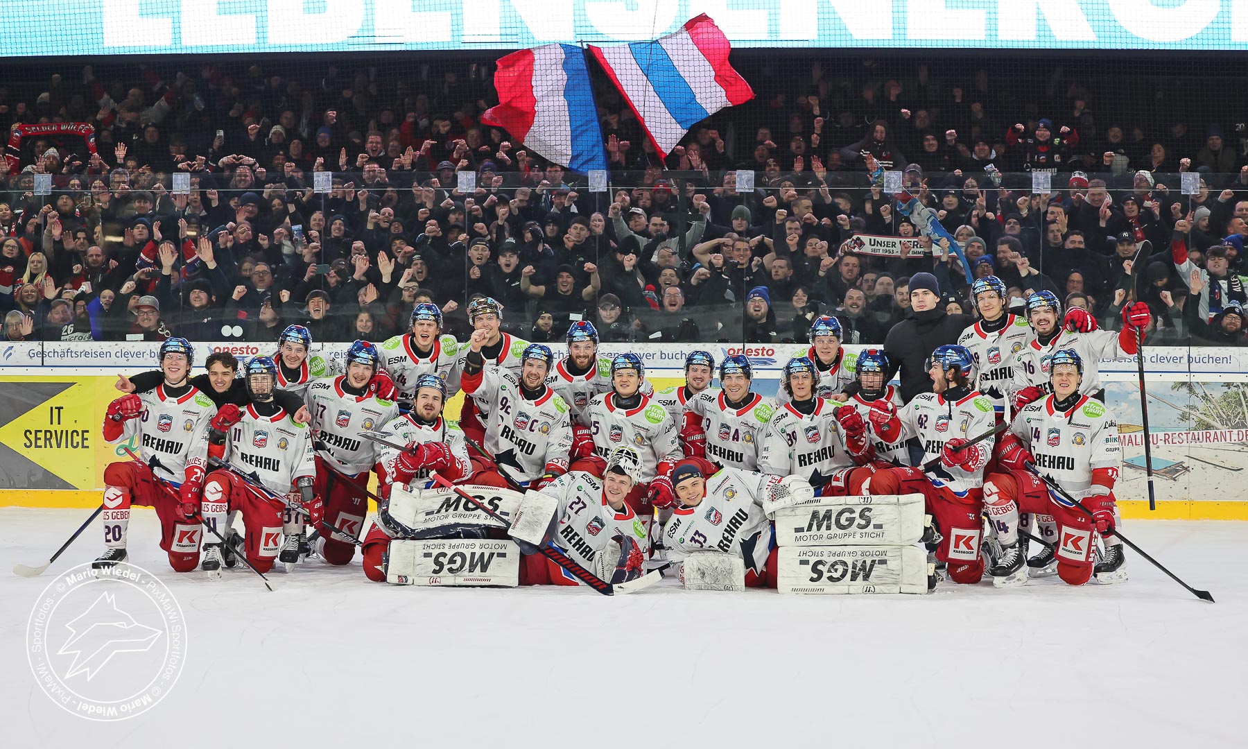Onesto Tigers Bayreuth vs. Selber Wölfe am 12.10.2025